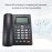Desktop Corded Telephone Landline Telephone with Caller Identification LCD Screen Adjustable Brightness Black(US Telephone Line)
