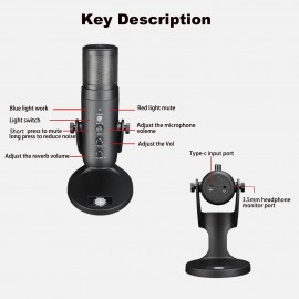 USB Microphone Computer PC Mic Heart-shape directional Condenser Conferencer with Stand Plug and Play Dynamic RGB Lighting Compatible with Windows MacOS for Meeting Streaming Singing Recording Podcasting Gaming