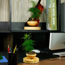 Magnetic Levitating Flowerpot Air Bonsai Pot Floating Rotating Plant Pot for Home Office Room Desk Display Decor (Not Include Plant)