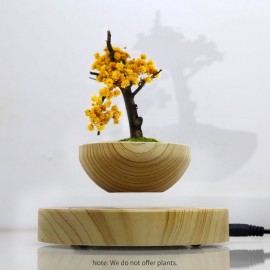 Magnetic Levitating Flowerpot Air Bonsai Pot Floating Rotating Plant Pot for Home Office Room Desk Display Decor (Not Include Plant)